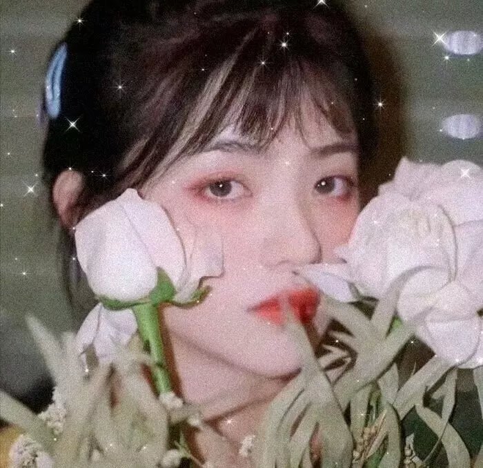 唐朝异闻录