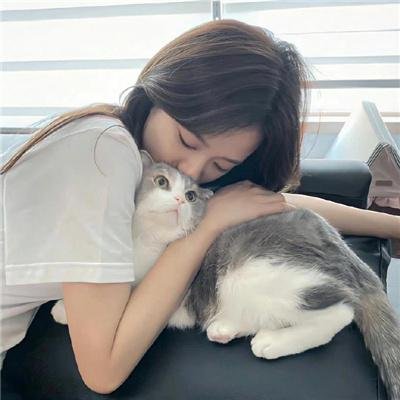 不能爱的房客